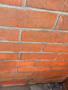 Damp Brick